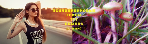 apvp Зерноград