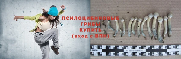 apvp Зерноград