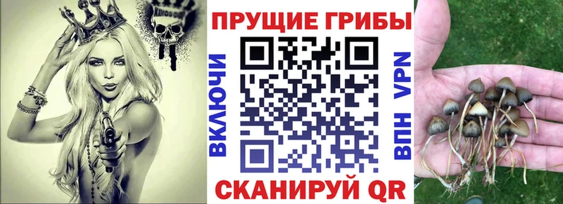 Купить закладки  Калачинск  Галлюциногенные грибы мухоморы 